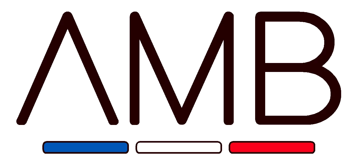 abm-moustiquaires-logo-partenaire-stores-sud